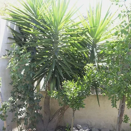 Holiday home Le Venitien Arles